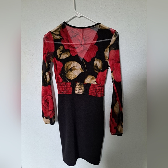 Red Roses Floral Mesh Dress - Picture 6 of 7